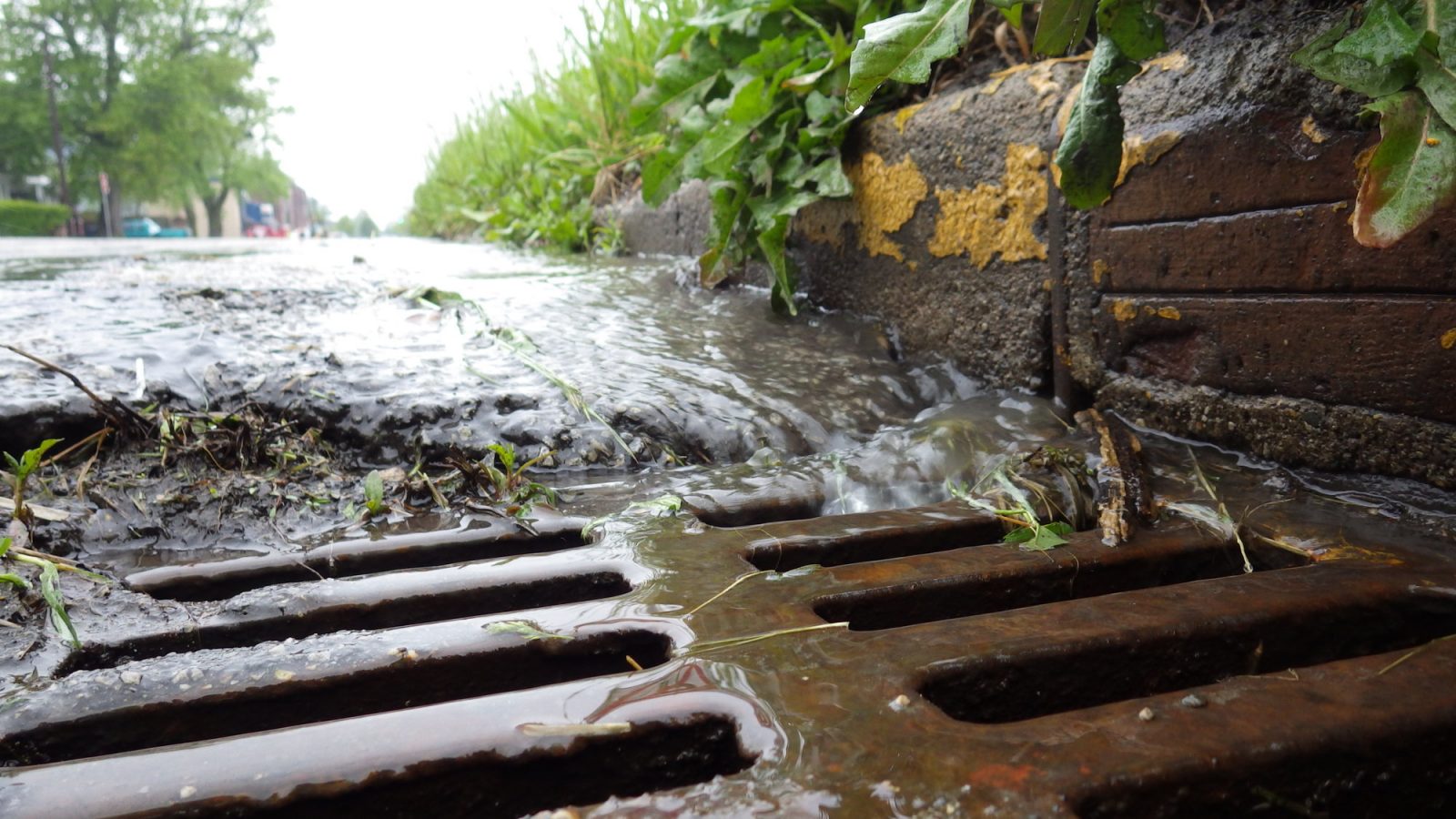 Stormwater Stormwater