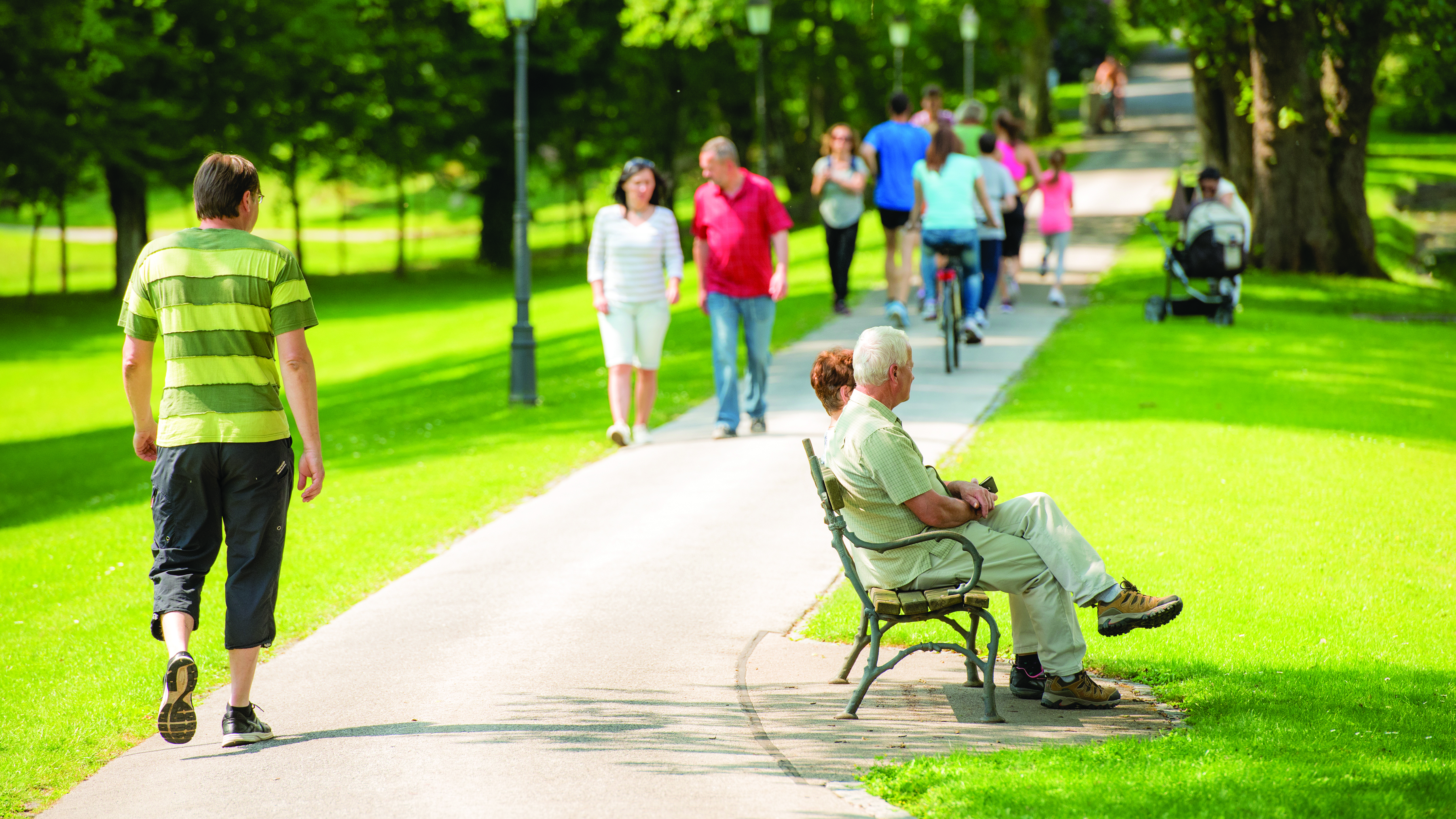 people of all ages walking on a trail in a park. with trees on the side.