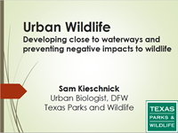Thumbnail to Urban Wildlife