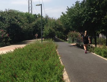 Woman walking on path