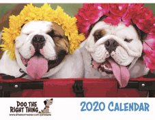 Final-Proofread-2020-Calendar_Page_01-(2).jpg