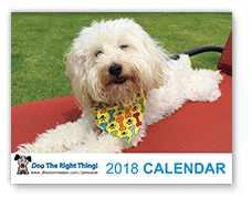 View the 2018 Doo the Right Thing Calendar