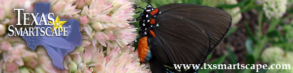 SmartScape logo on picture of a pink flower with a butterfly