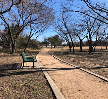 This is an image of a park bench in Amy Park in Flower mound, Texas